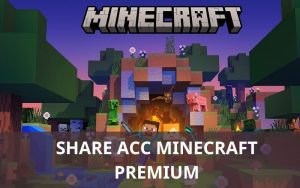 Share Acc Minecraft Premium